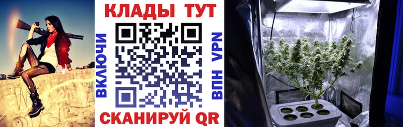 Где купить наркотики Новая Ладога COCAIN  Меф  ГАШИШ  Каннабис 