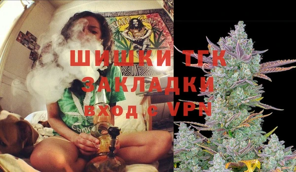 винт Алексин