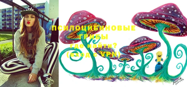 винт Алексин