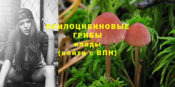 спиды Алексеевка