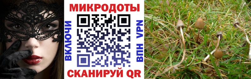 Галлюциногенные грибы Magic Shrooms  Новая Ладога 