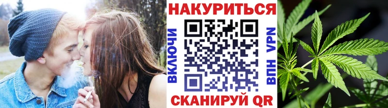 хочу наркоту Новая Ладога Бошки Шишки семена
